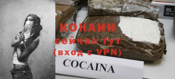 герыч Ельня