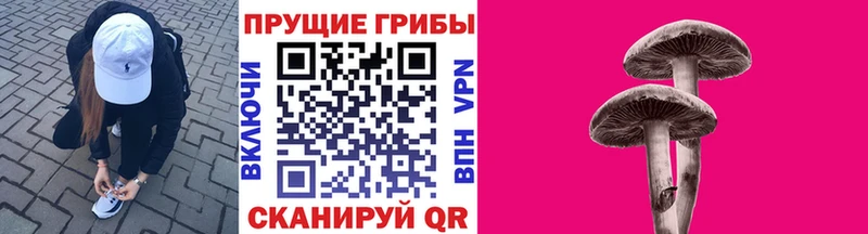 Галлюциногенные грибы GOLDEN TEACHER  Купить  Сегежа 